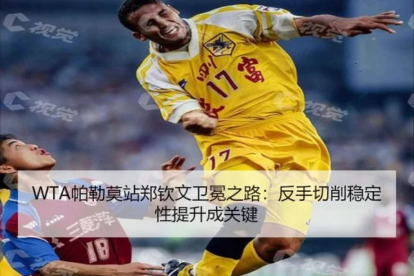 pa-lei-mo-zhan-zheng-qin-wen-wei-mian-zhi-lu-fan-shou-qie-xiao-wen-ding-xing-ti-sheng-cheng-guan-jian-3-229.jpg