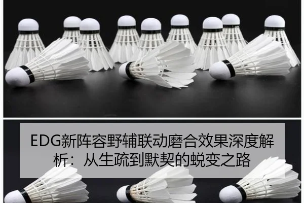 EDG新阵容野辅联动磨合效果深度解析：从生疏到默契的蜕变之路