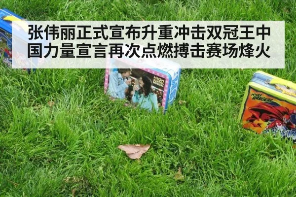 张伟丽正式宣布升重冲击双冠王中国力量宣言再次点燃搏击赛场烽火